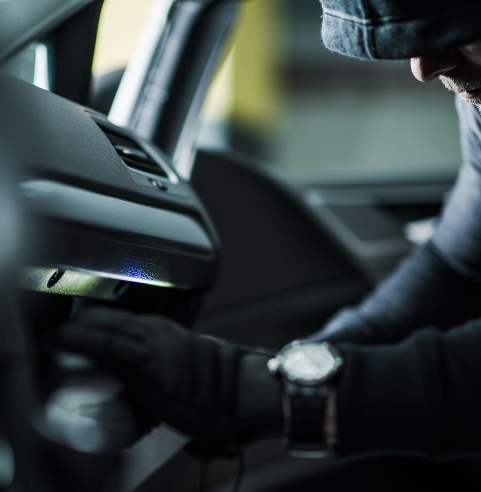 THEFT DEFENSE (1)