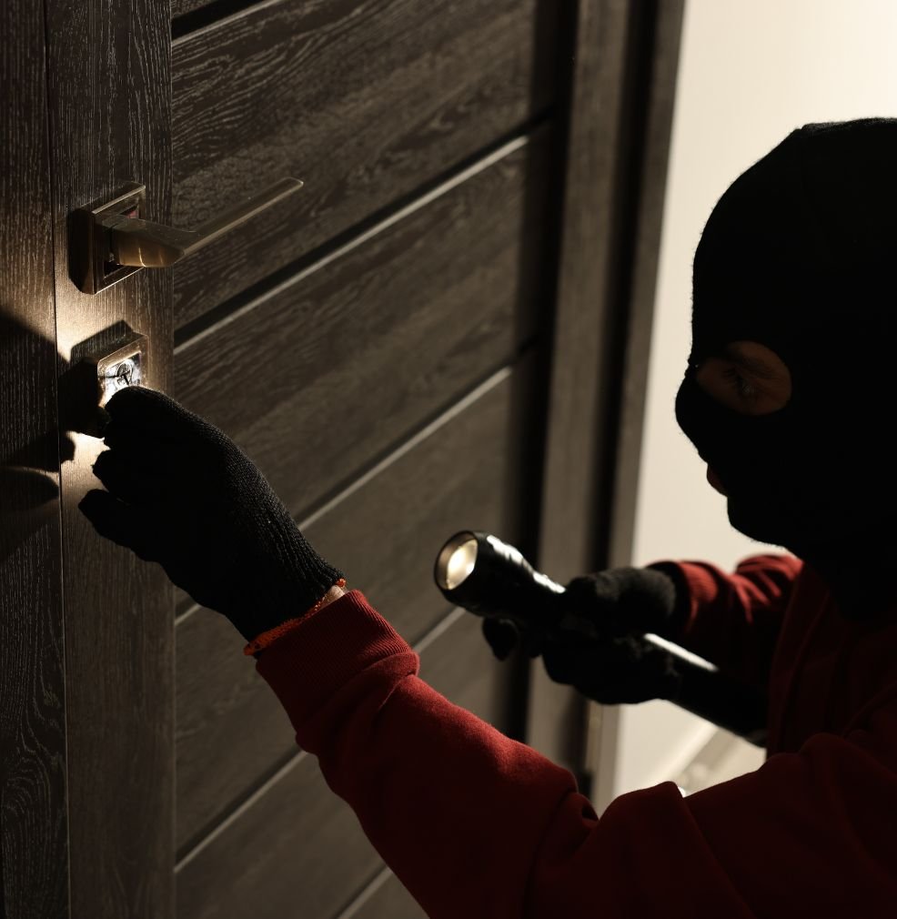 burglary-defense
